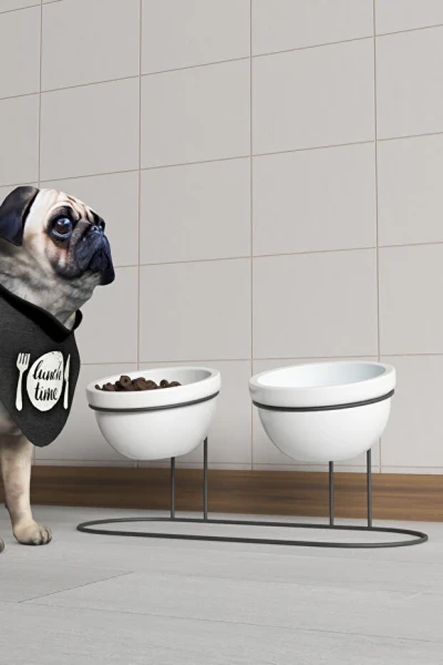 2 li Kedi Köpek Mama Ve Su Kabı