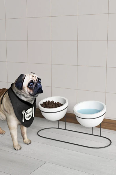 2 li Kedi Köpek Mama Ve Su Kabı