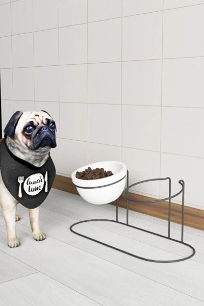 2 li Kedi Köpek Mama Ve Su Kabı