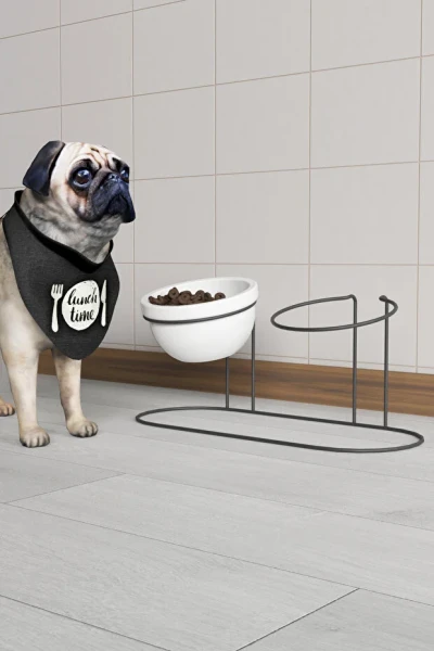 2 li Kedi Köpek Mama Ve Su Kabı