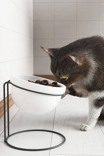 Kedi Köpek Mama Ve Su Kabı