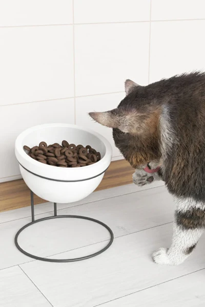 Kedi Köpek Mama Ve Su Kabı