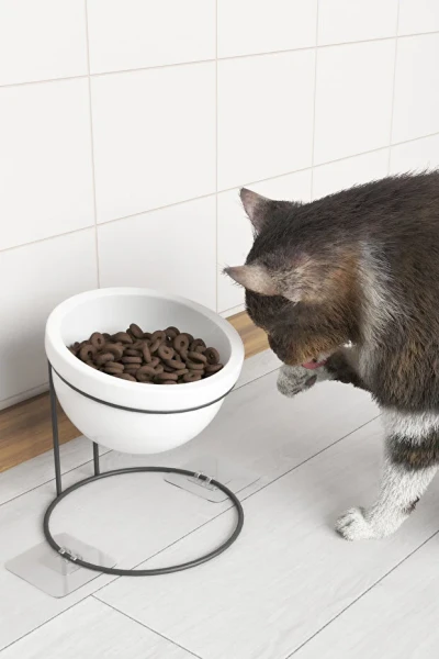 Kedi Köpek Mama Ve Su Kabı